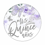 Mis Quince Anos Birthday Spanish Butterflies Round Dot Stickers Set 